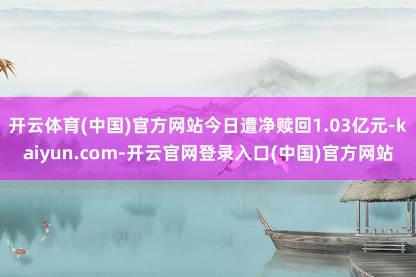 开云体育(中国)官方网站今日遭净赎回1.03亿元-kaiyun.com-开云官网登录入口(中国)官方网站