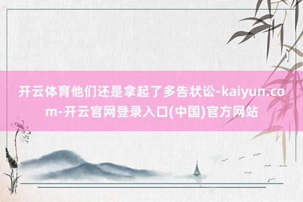 开云体育他们还是拿起了多告状讼-kaiyun.com-开云官网登录入口(中国)官方网站
