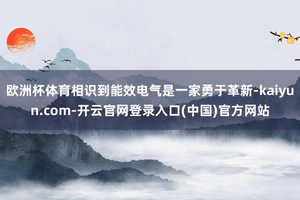 欧洲杯体育相识到能效电气是一家勇于革新-kaiyun.com-开云官网登录入口(中国)官方网站