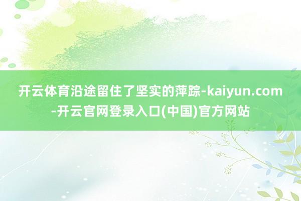 开云体育沿途留住了坚实的萍踪-kaiyun.com-开云官网登录入口(中国)官方网站
